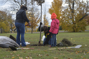 The OEC’s community tree plantings can be a vital part of furthering environmental sustainability in Syracuse's urban forest. 